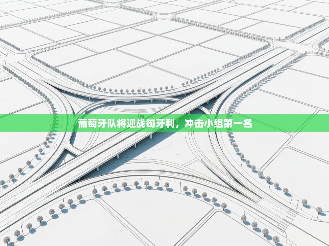 葡萄牙队将迎战匈牙利，冲击小组第一名  第2张