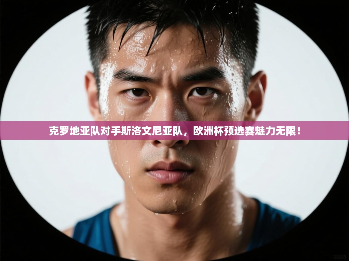 克罗地亚队对手斯洛文尼亚队，欧洲杯预选赛魅力无限！  第2张