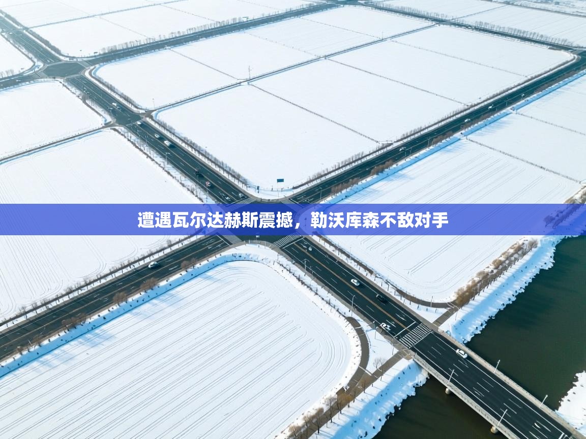 遭遇瓦尔达赫斯震撼，勒沃库森不敌对手  第1张